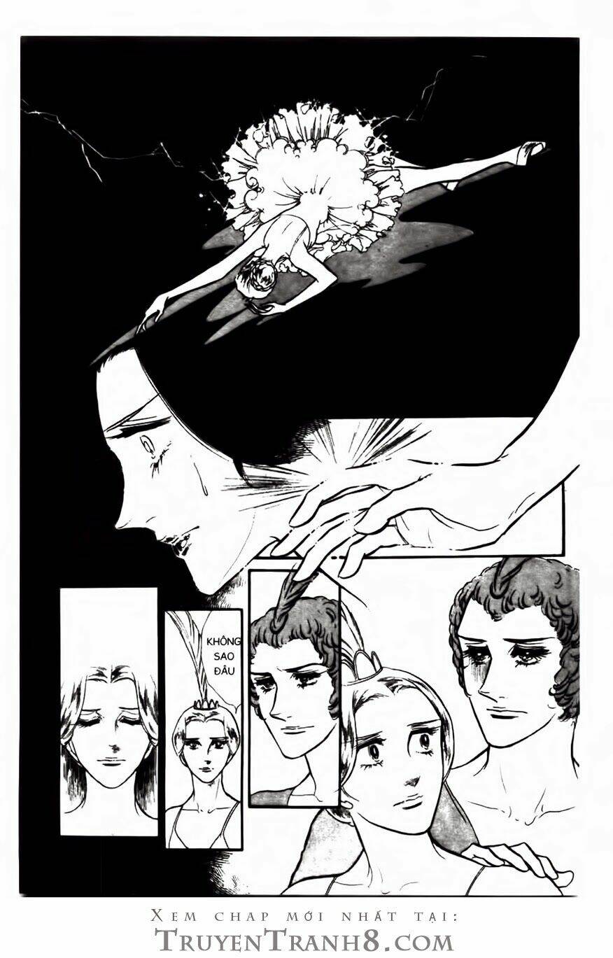 swan - vũ khúc thiên nga chapter 81 1