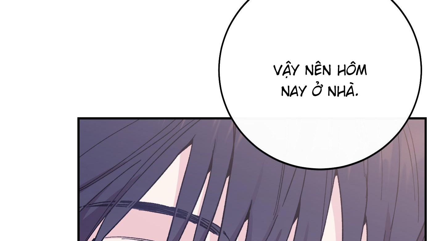 lãng mạn giả dối chapter 26 28