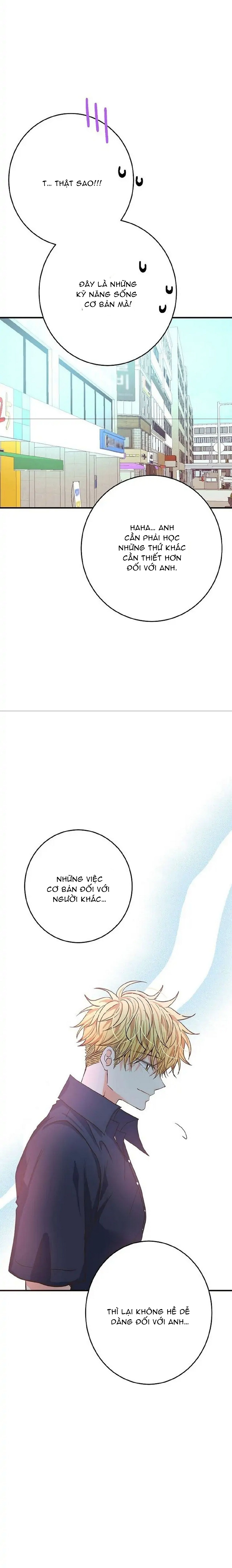 mối quan hệ phù hợp chapter 11 31