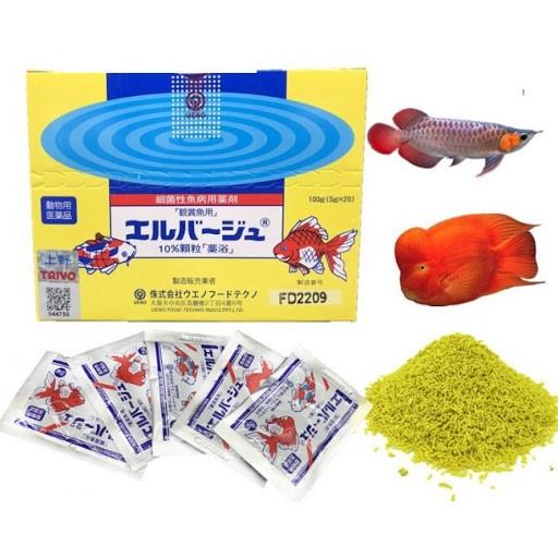 Tetra nhật xử lý nấm, kháng sinh cho cá cảnh