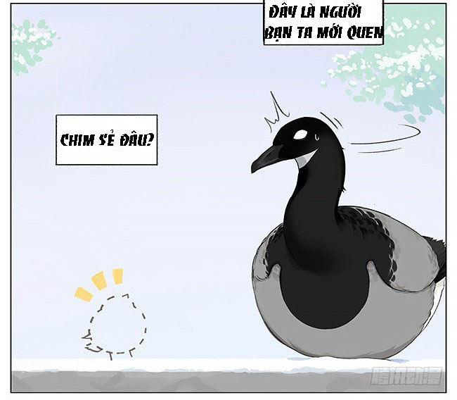 sẻ chiếu mới và nhạn phong sương chapter 6 2