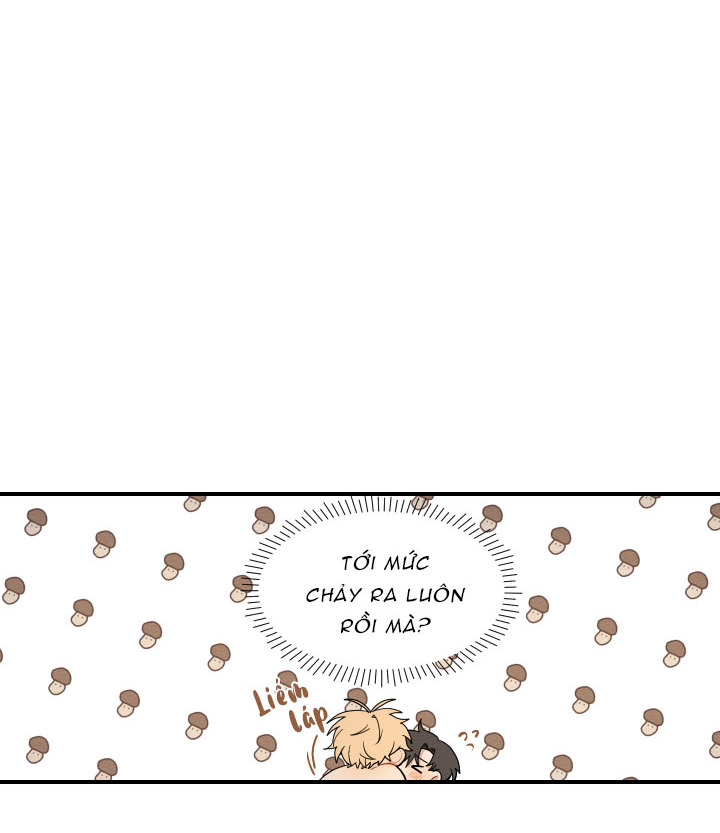 đường hoa liên kiều rơi chapter 17 4