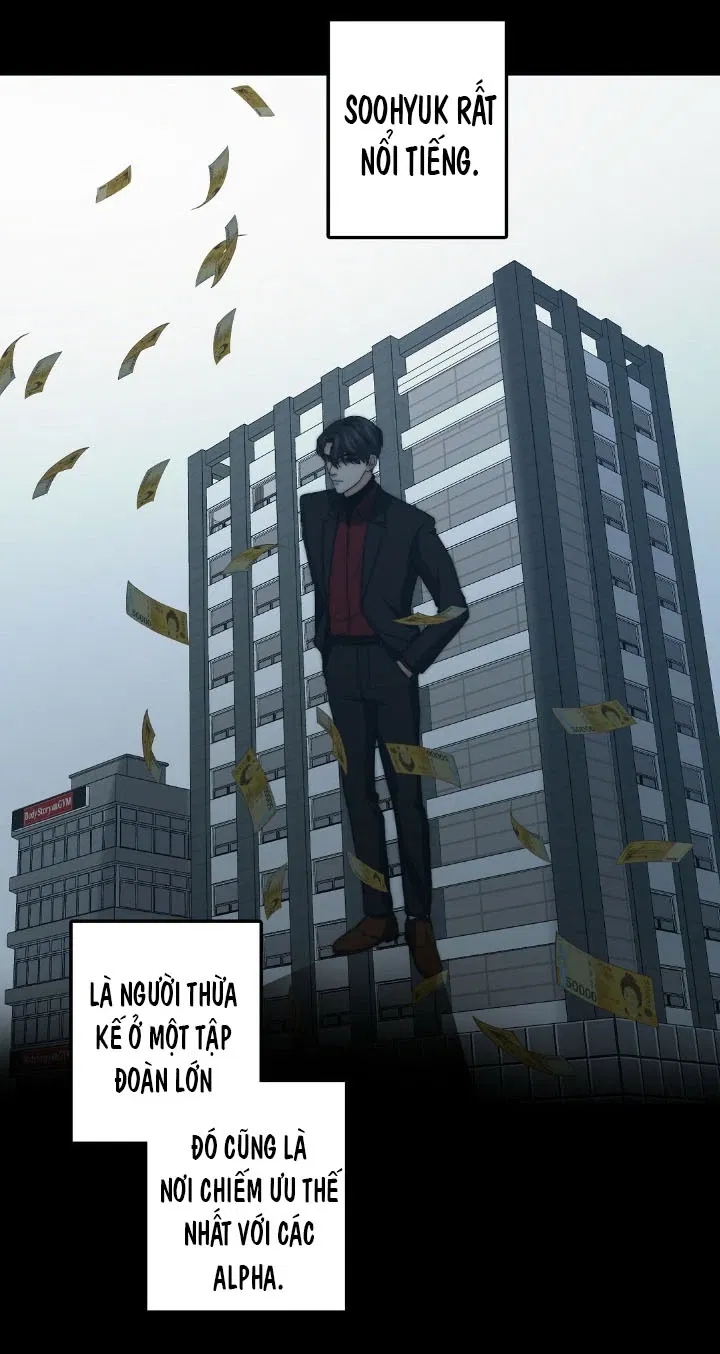 bí mật của omega k chapter 19 49