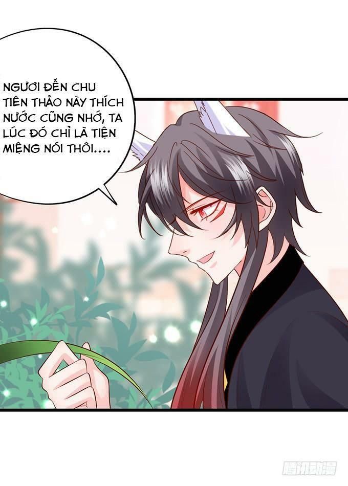hồ tiên hung bạo chapter 137 24