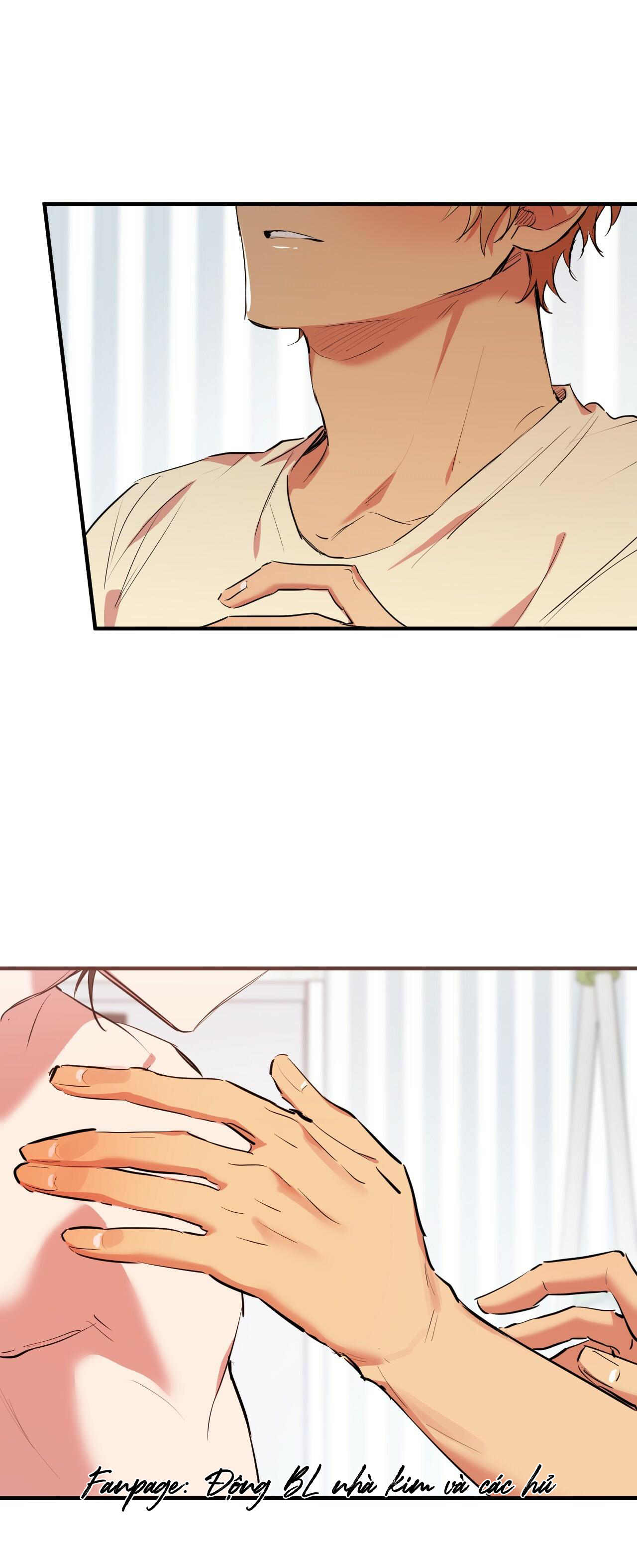 những chú thỏ của hapypy chapter 38 42