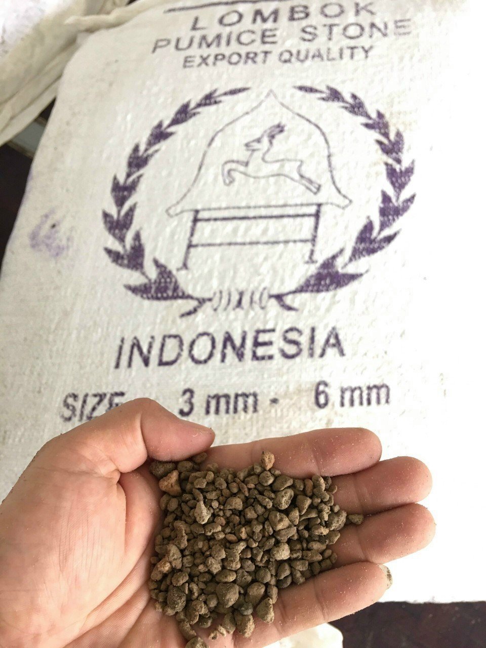 1Kg Đá Pumice Indonesia Full Size - Đá Phủ Mặt Sen Đá, Xương Rồng