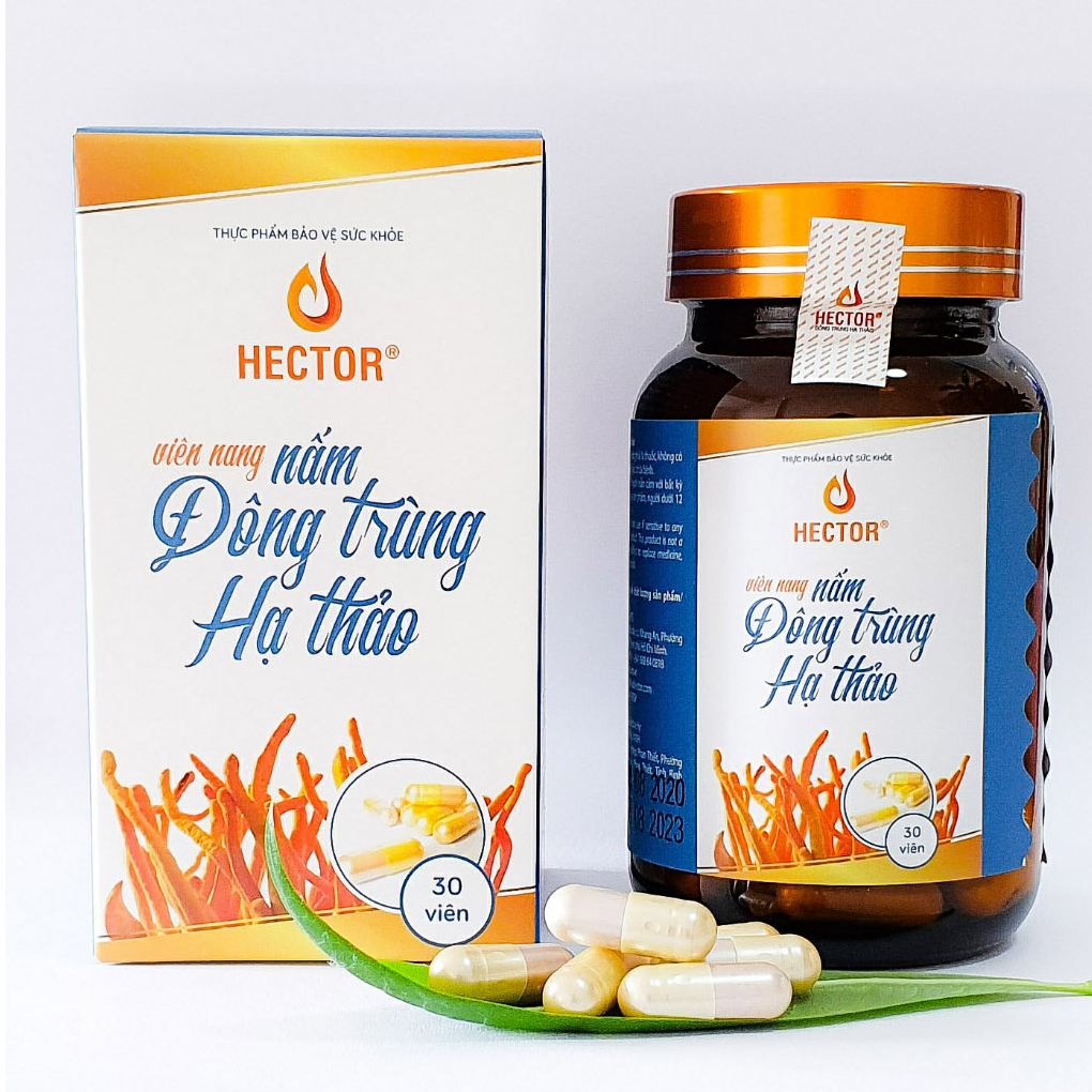 Combo 2 hộp 60 viên nang Đông trùng hạ thảo Hector (Dùng cho 2 tháng)