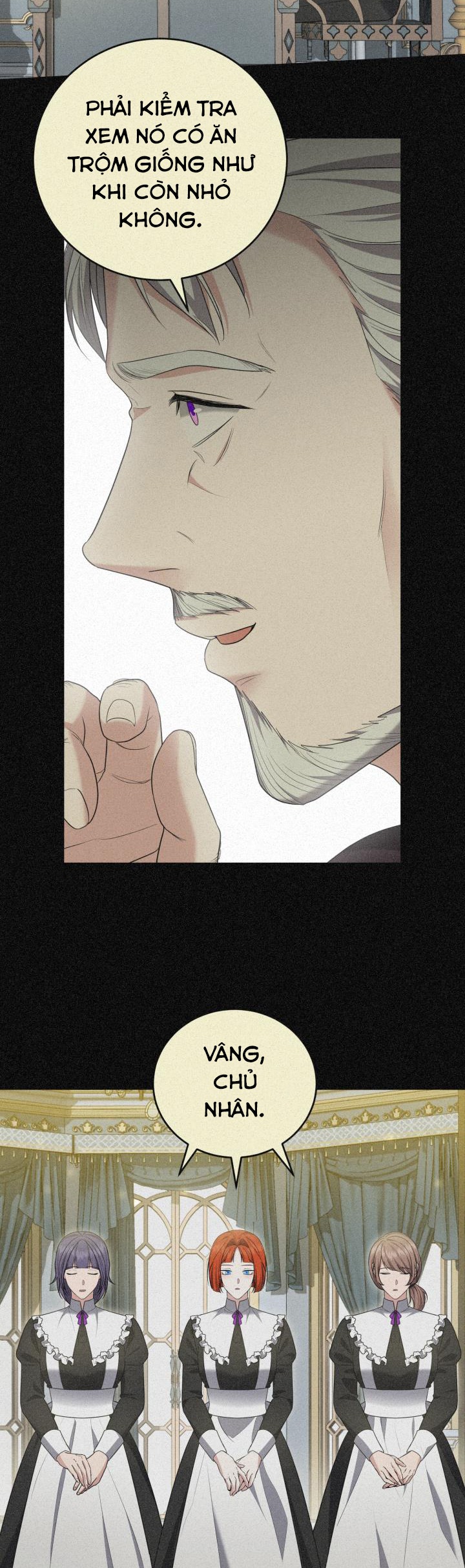 tiểu thư, ta chẳng thích cô chút nào! chapter 26 8