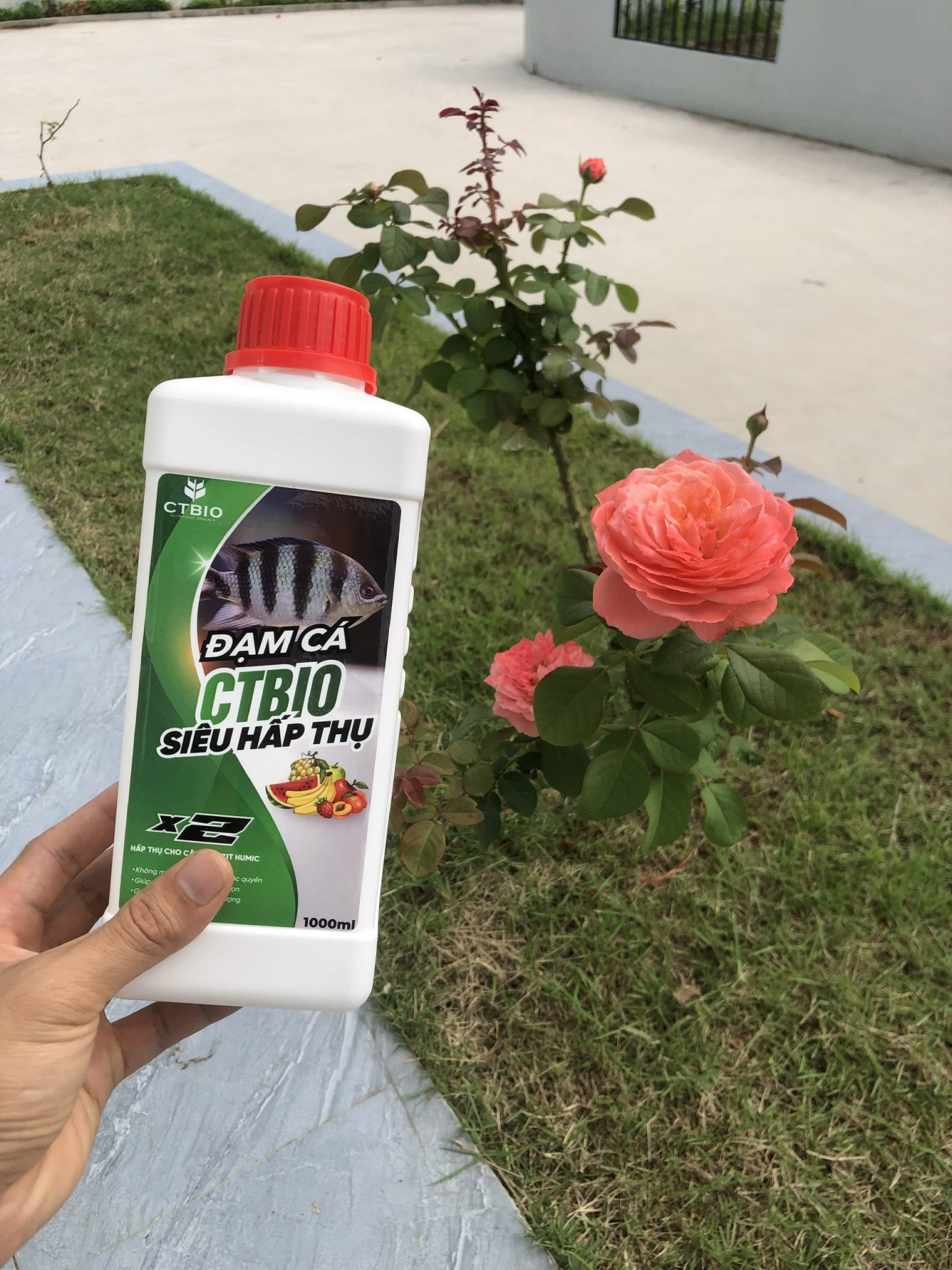 Đạm Cá Hữu Cơ CTBIO Nguyên Chất - Mùi Thơm - Dinh Dưỡng Tự Nhiên cho rau hữu cơ, cây cảnh, hoa quả sạch tại nhà.