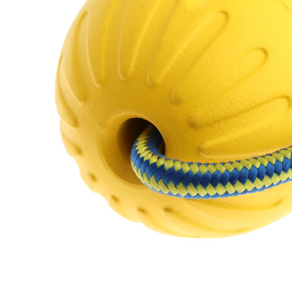 Foam Ball Pet Dog Training Toy Ball with Rope