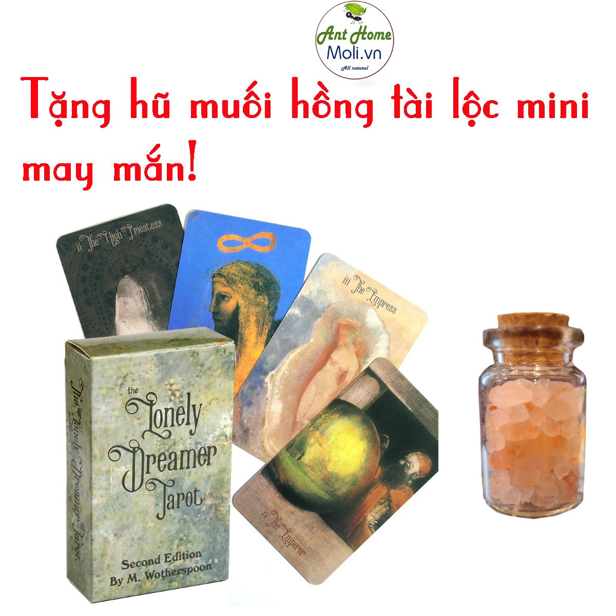 {Kèm quà tặng} Bộ tài tarot The Lonely Dreamer Tarot