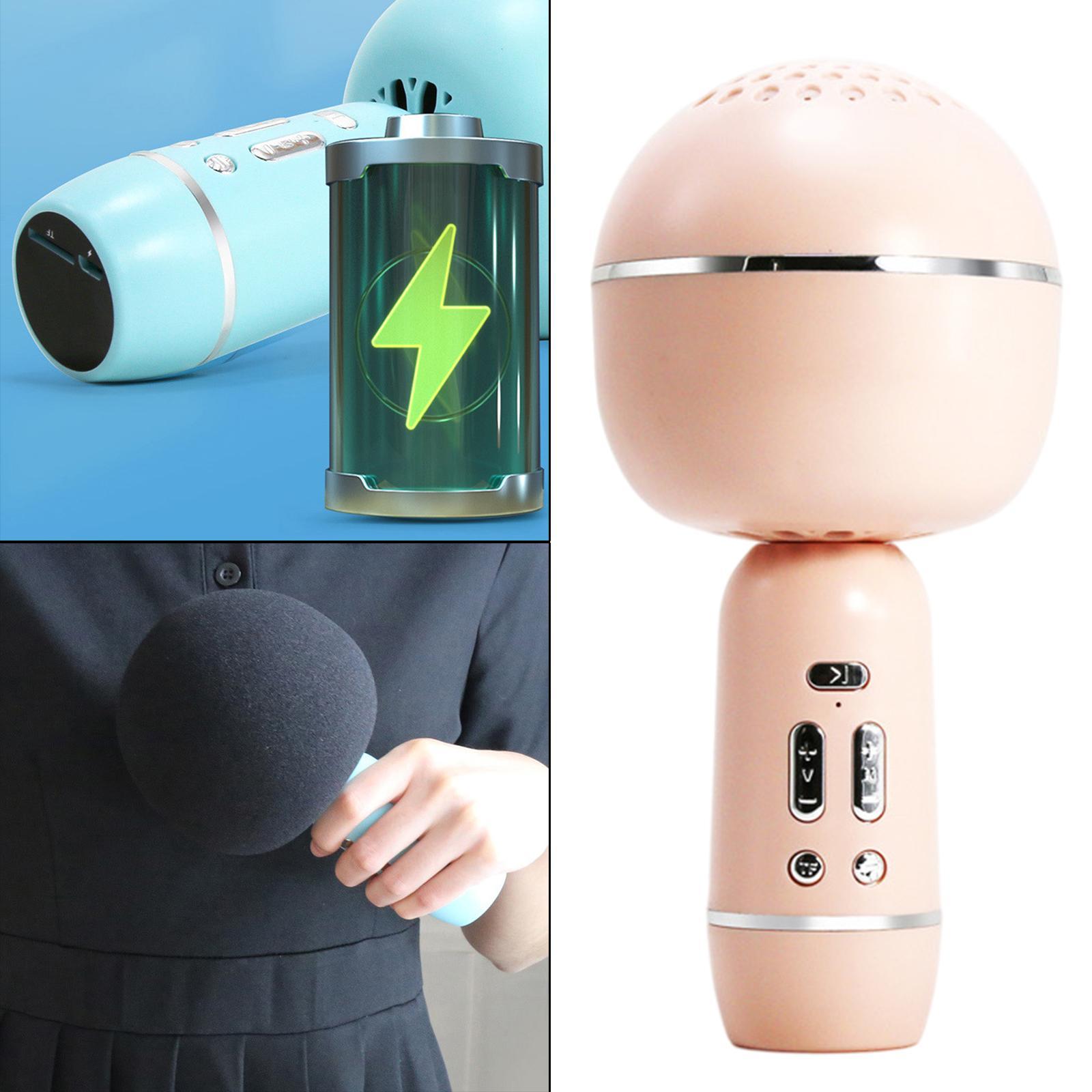 Portable Wireless Microphone Karaoke Speaker Karaoke Machine