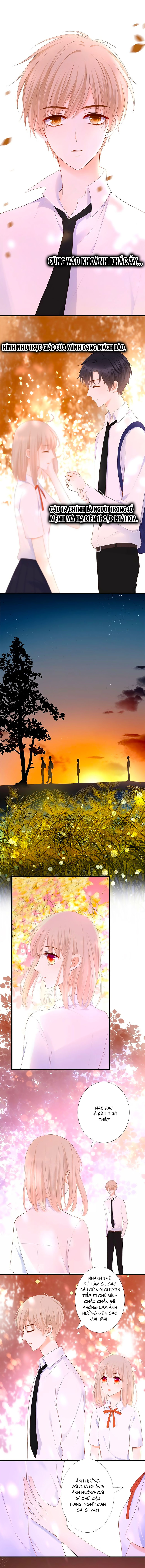 đóa hoa chớm nở chapter 18 4