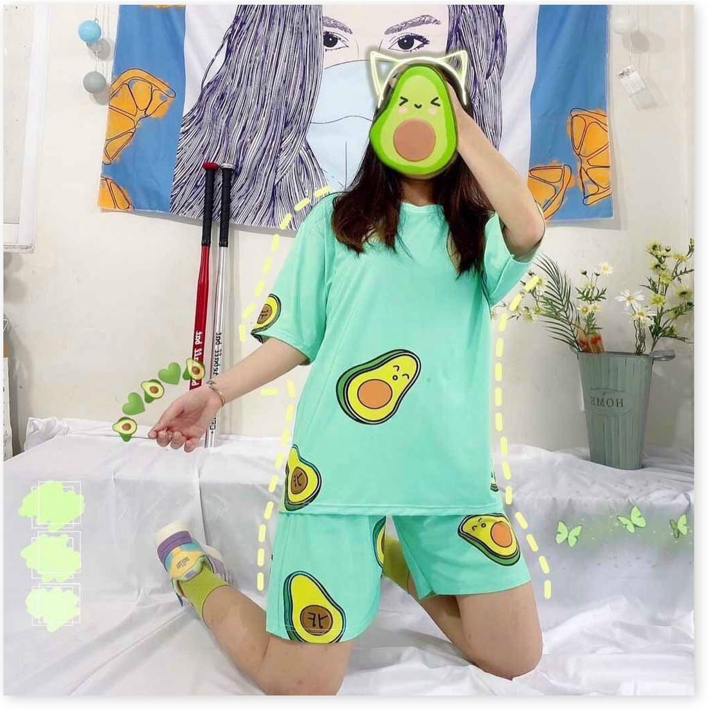 SET BỘ TRÁI BƠ CUTE