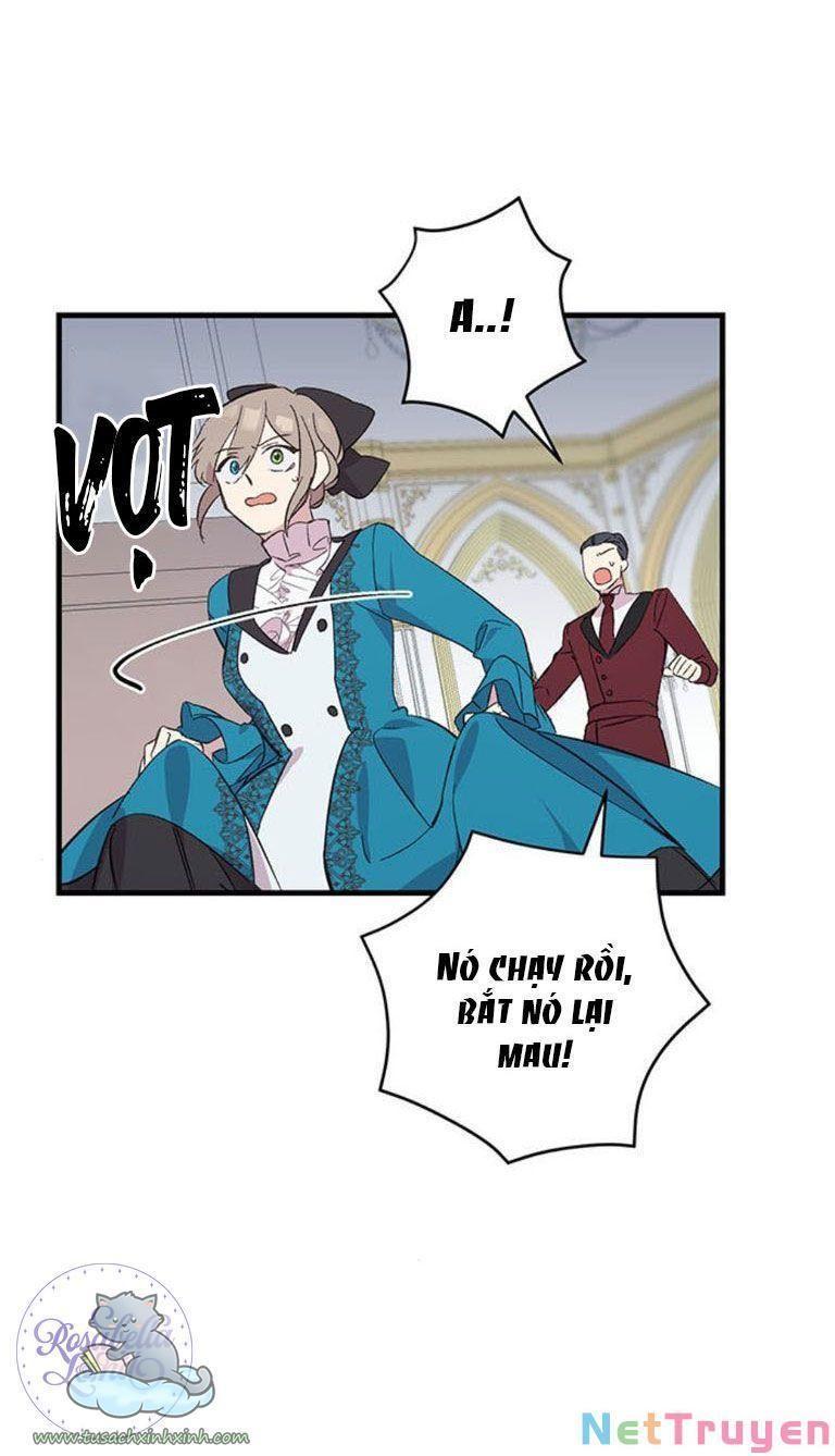 xin hãy cứ khóc, thái tử chapter 6 45