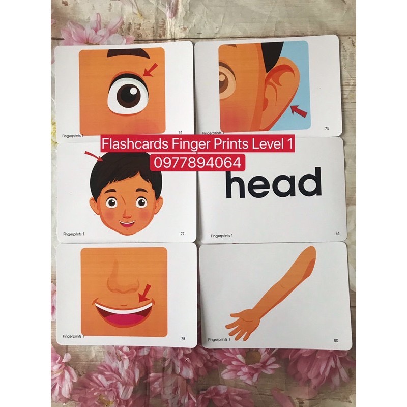 FLASHCARDS FINGER PRINT 1,2,3-khổ A5 ép plastic bền đẹp