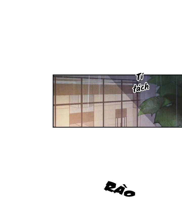 âm thanh của san hô chapter 19 5