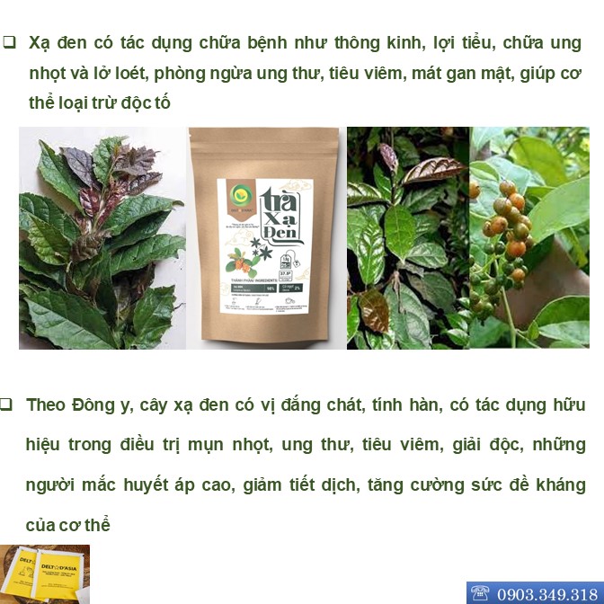 TRÀ XẠ ĐEN Túi Zip – Delta D'Asia Hỗ trợ điều trị xơ gan, hạ men gan, viêm gan B