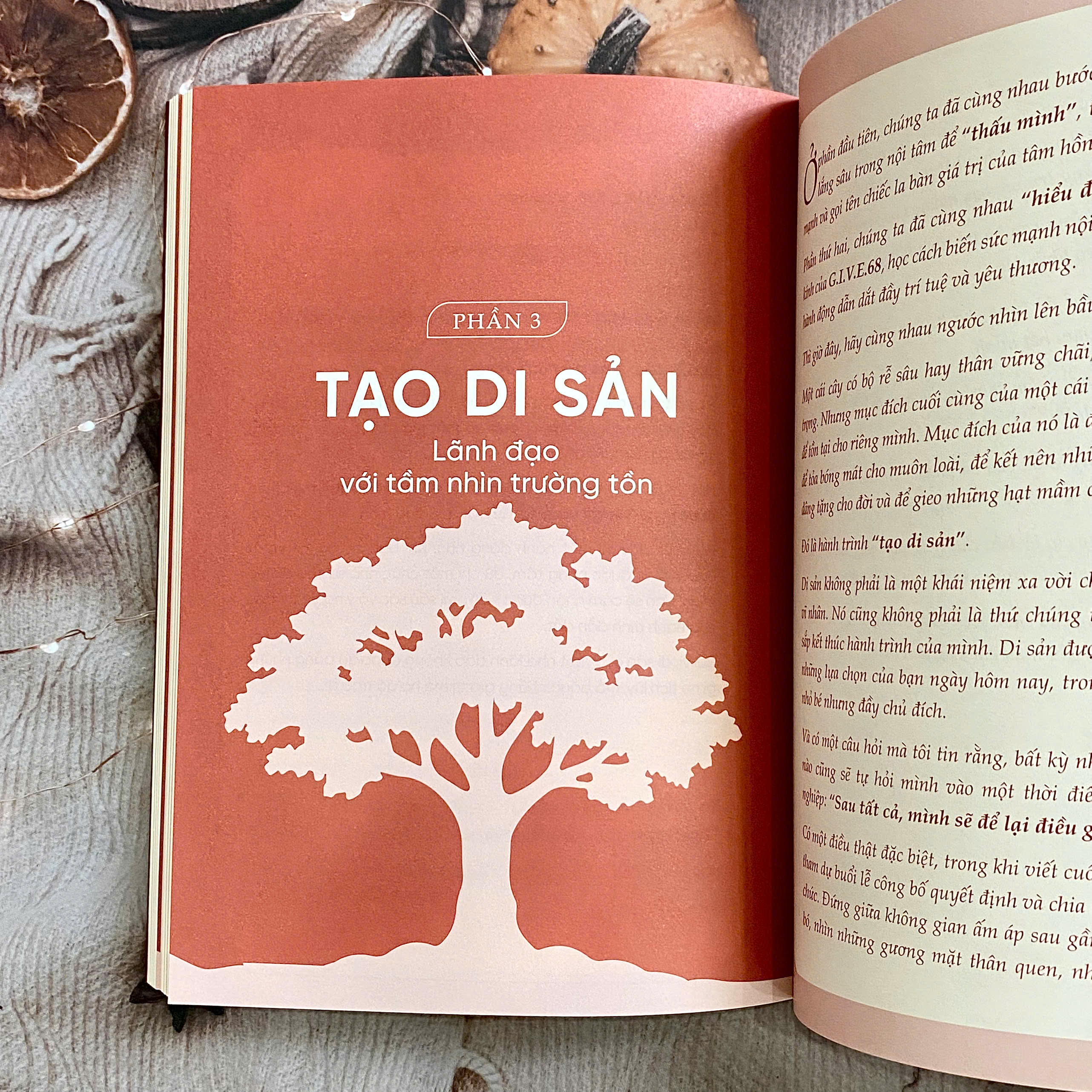 Sách - Dám Dẫn Dắt: Khai mở tiềm năng lãnh đạo trong môi trường ngân hàng (Bìa cứng)