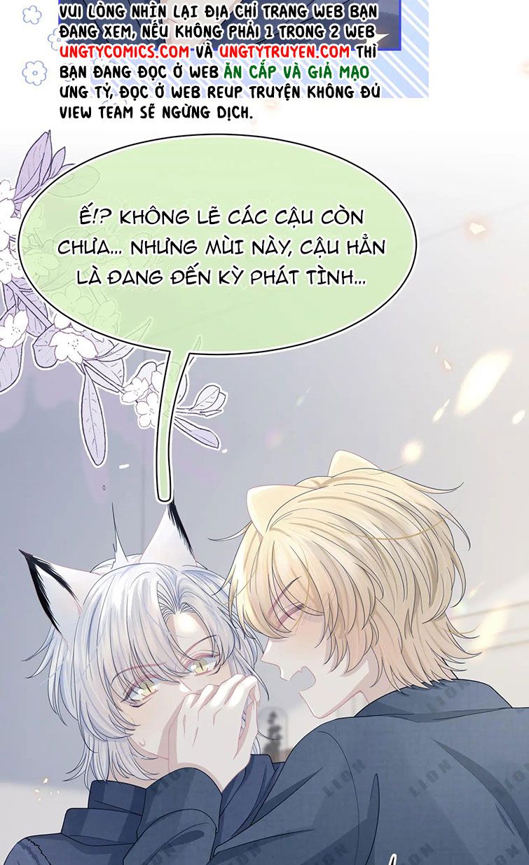 Một Ngụm Nuốt Trọn Thỏ Con chapter 78