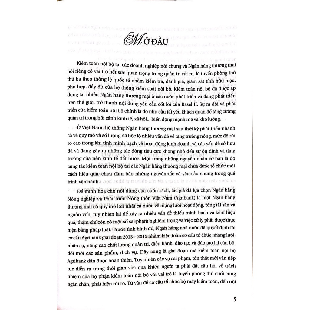Kiểm Toán Nội Bộ Trong Các Ngân hàng Thương Mại Việt Nam