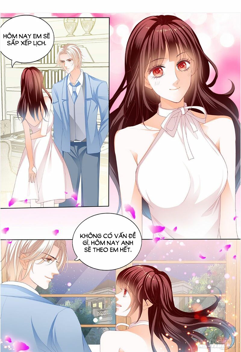 thiểm hôn kiều thê chapter 247 5