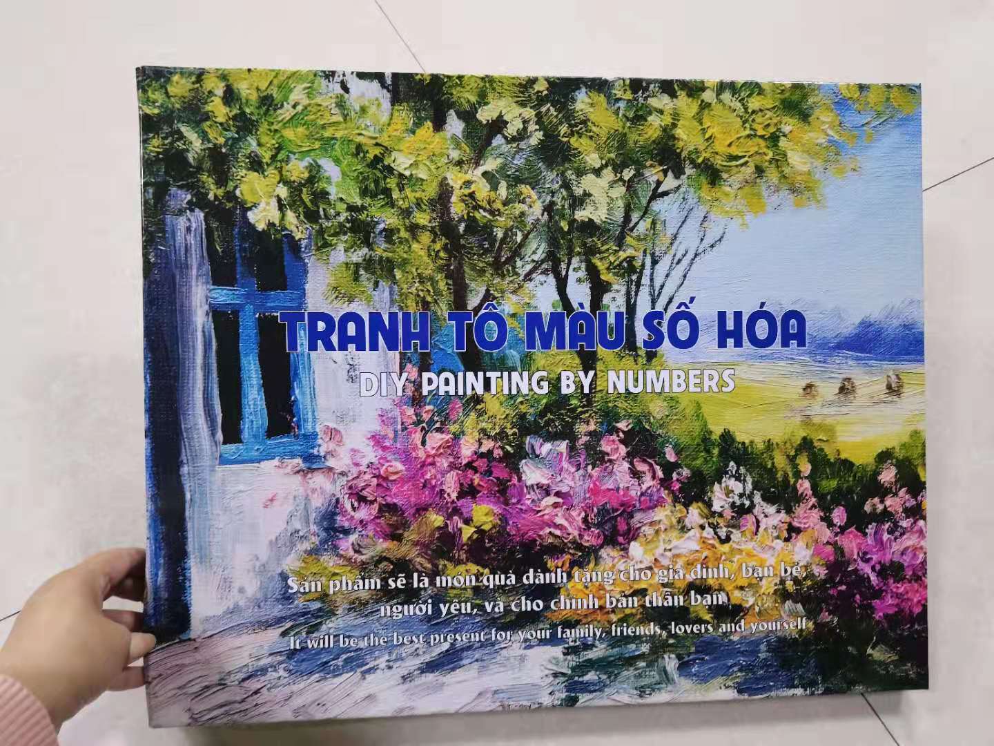 Tranh tô màu theo số DIY Painting (40*50cm) có khung căng sẵn