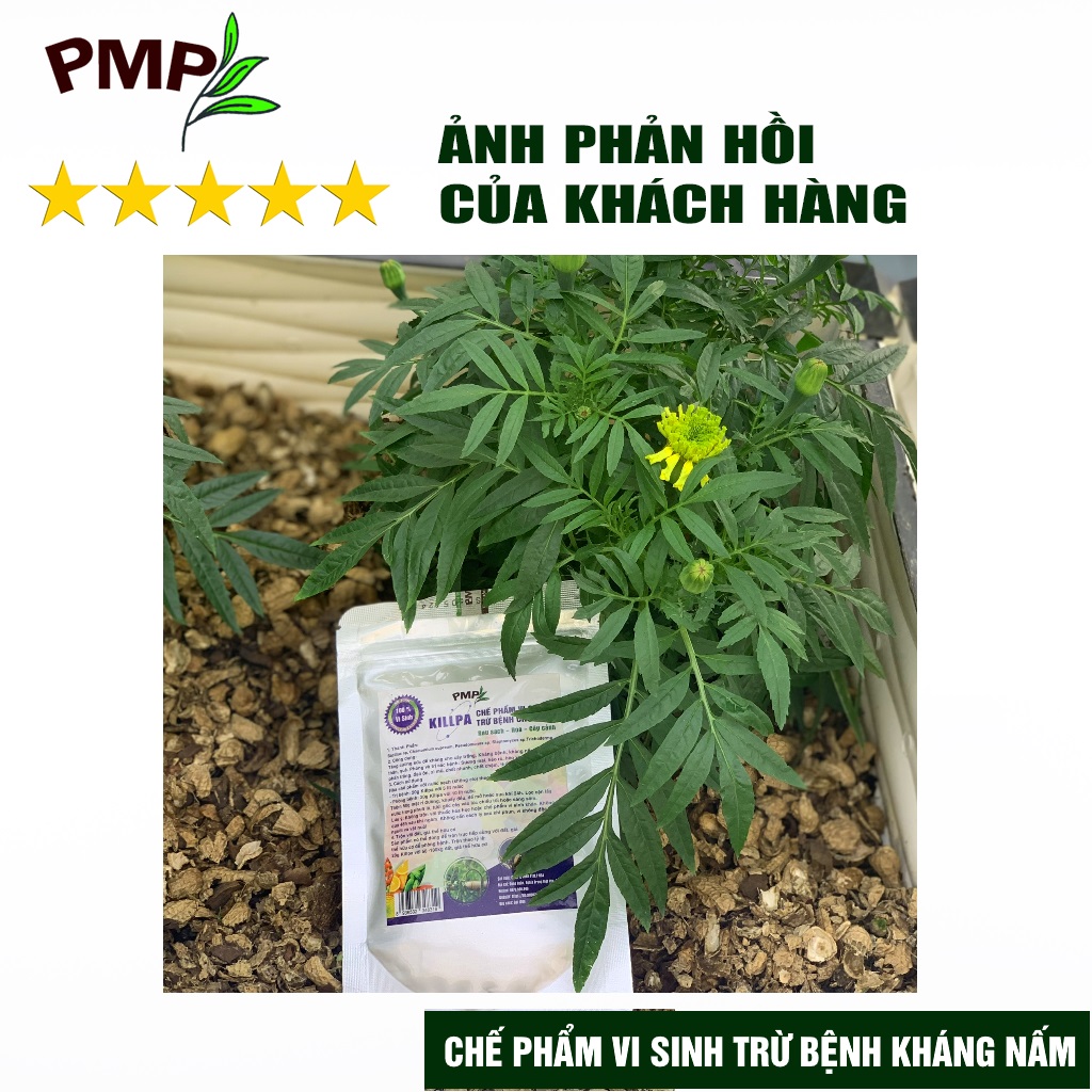 Combo chế phẩm vi sinh trừ bệnh, trừ sâu PMP cho rau sạch, hoa, cây cảnh