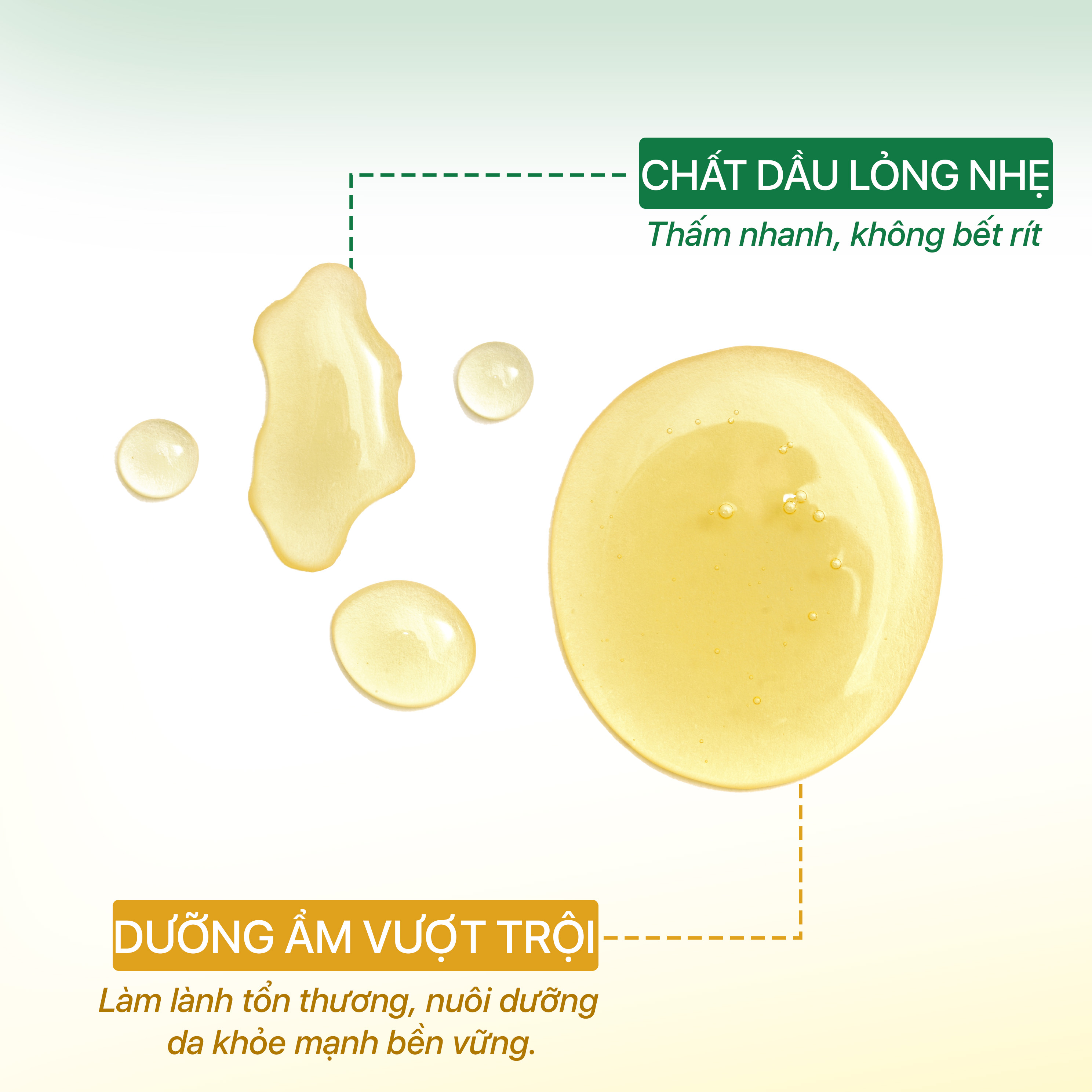 Dầu Dưỡng Ẩm Ngừa Rạn Cho Bà Bầu - GUO Body Oil Light Formula 50ml