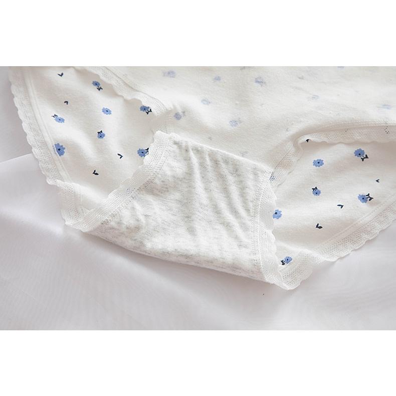 Quần Lót Nữ Cotton Mỏng Ngang Eo . Hàng Loại Đẹp.
