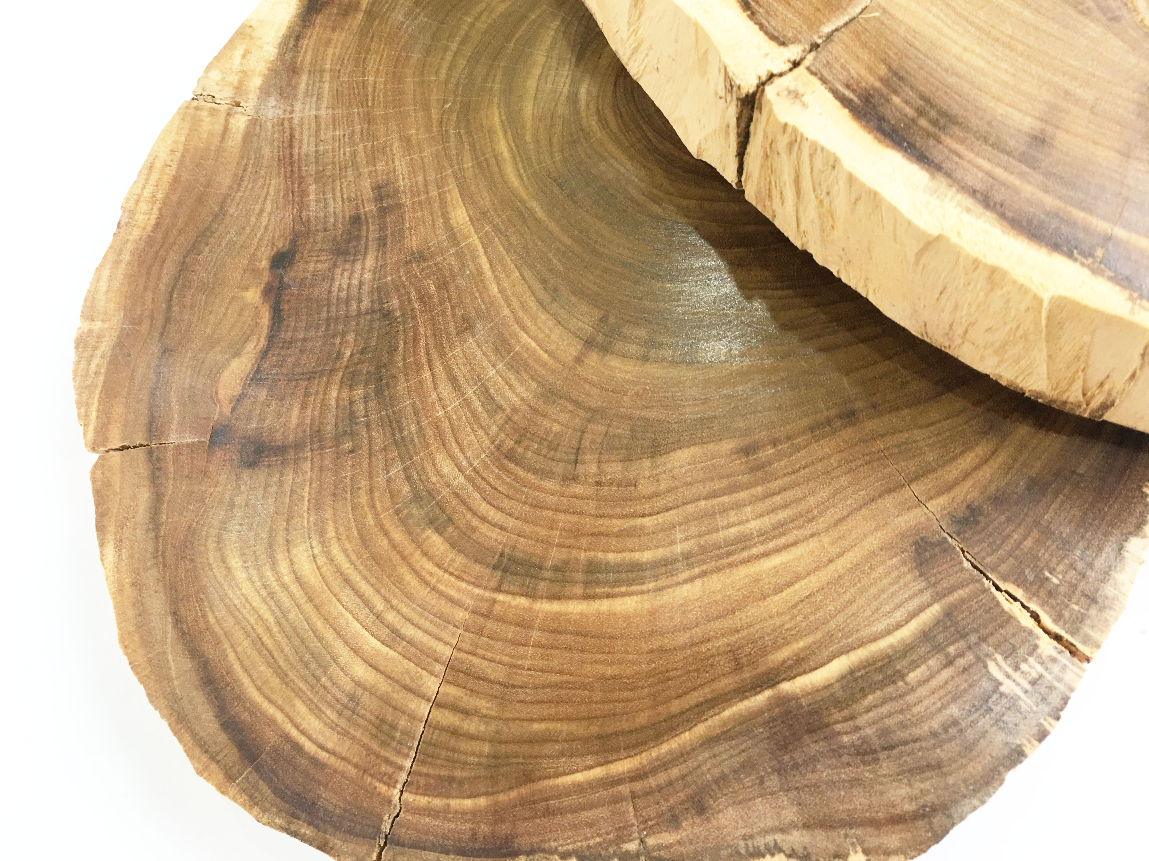 Khoanh gỗ lũa dùng trang trí, decor vintage, chụp ảnh KT 18-25cm