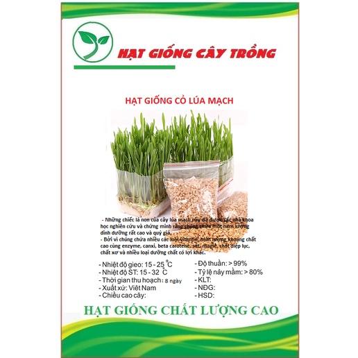 Hạt Giống Mầm Lúa Mạch CT234 - Gói 100 gram