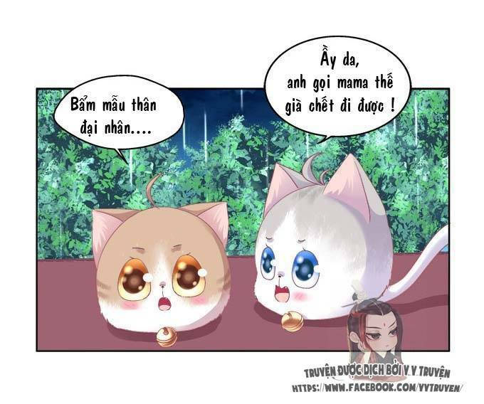 dụ hoặc miêu yêu chapter 20.5 19