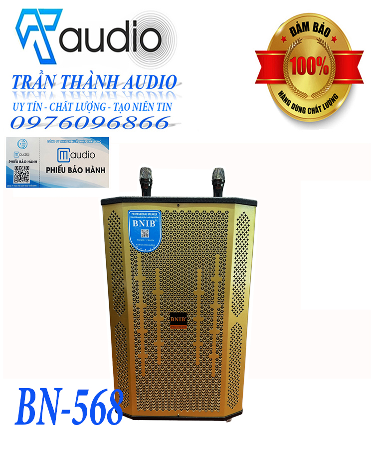 Loa Kéo karaoke BNIB Model BN-568 bass 40 kết nối bluetooth có reverb 2 tay mic UHF hợp kim hàng chính hãng nhập khẩu mới nhất 2024 bảo hành 6 tháng