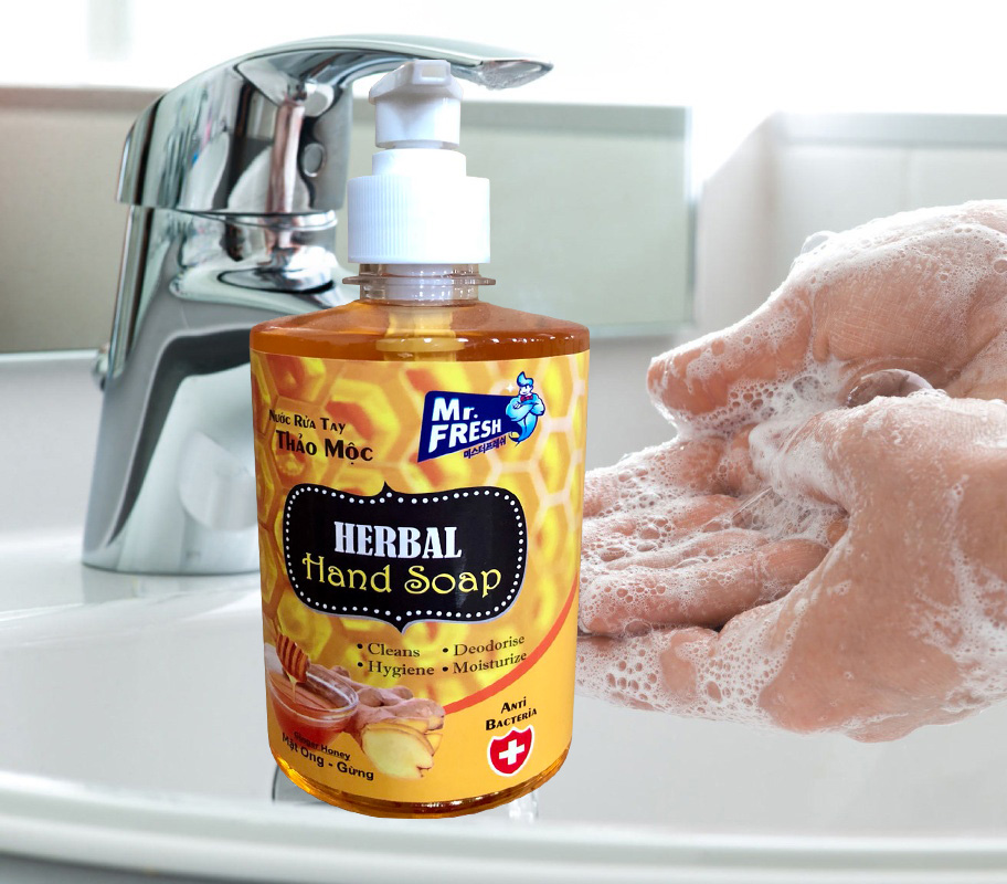 Combo 2 chai nước rửa tay Hand Soap Hương Mật ong rừng