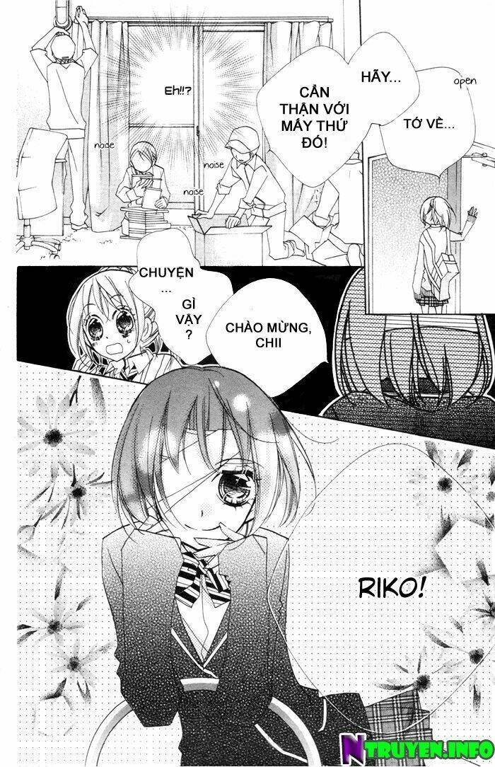 chocolate chapter 11 13