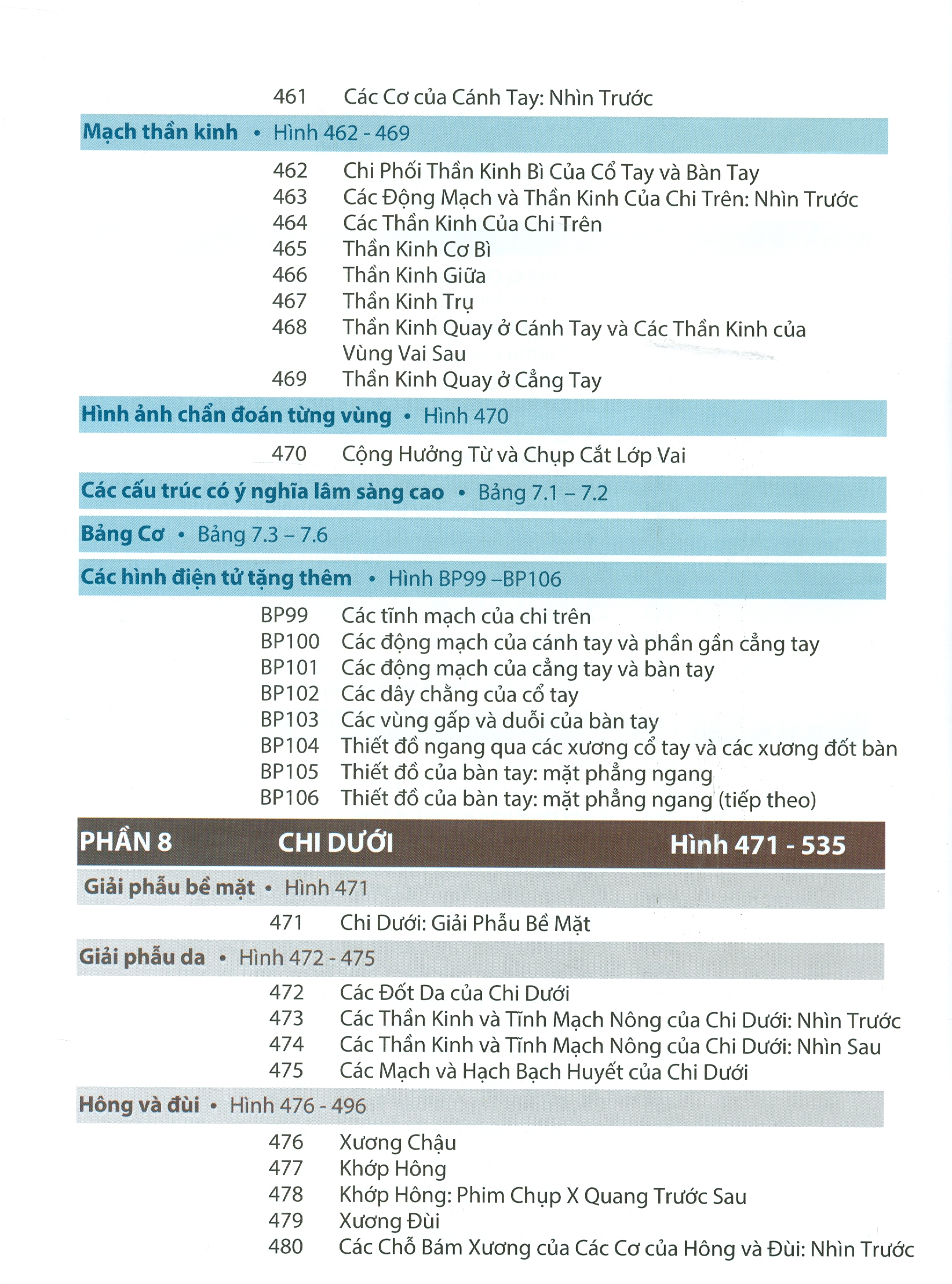 ATLAS GIẢI PHẪU NGƯỜI - In Lần Thứ IV (năm 2022) Theo Ấn Phẩm Lần Thứ VII Của Nxb Elsevier Có Sửa Chữa Và Bổ Sung (ATLAS OF HUMAN ANATOMY  Seventh Edition)