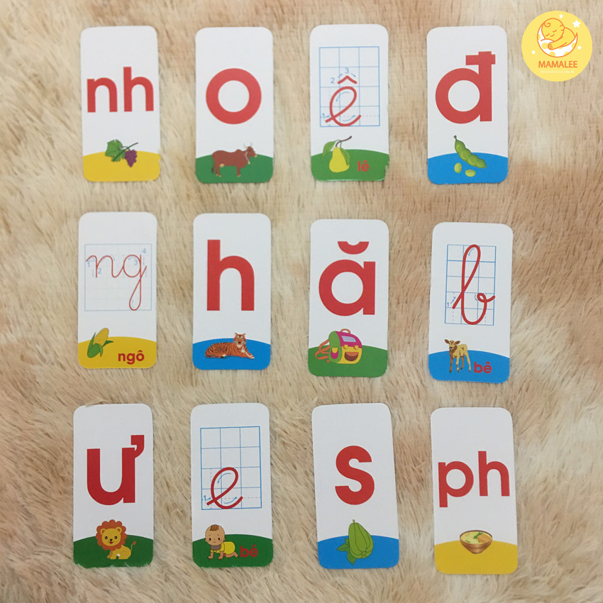 Bộ 42 Thẻ Học Thông Minh Flashcard Chữ Cái, Chữ Ghép Kèm Dấu Size 7x14cm - Thẻ Học Thông Minh Glenn Doman