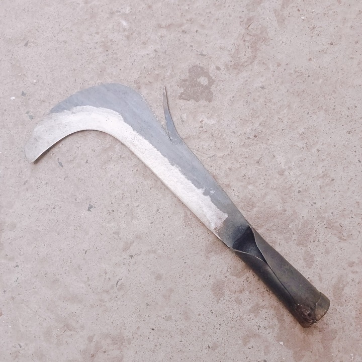 Câu liêm phòng cháy chữa cháy - Tỉa cây - Hái quả