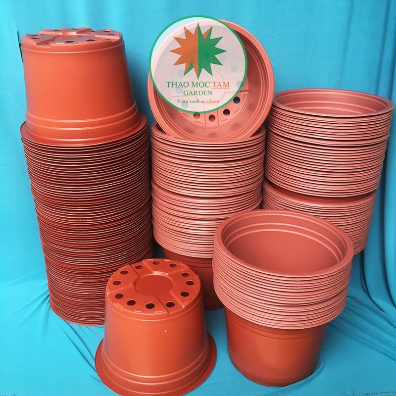 30c Chậu nhựa trồng hoa 23x16cm - Chậu nhựa trồng cây hoa cảnh