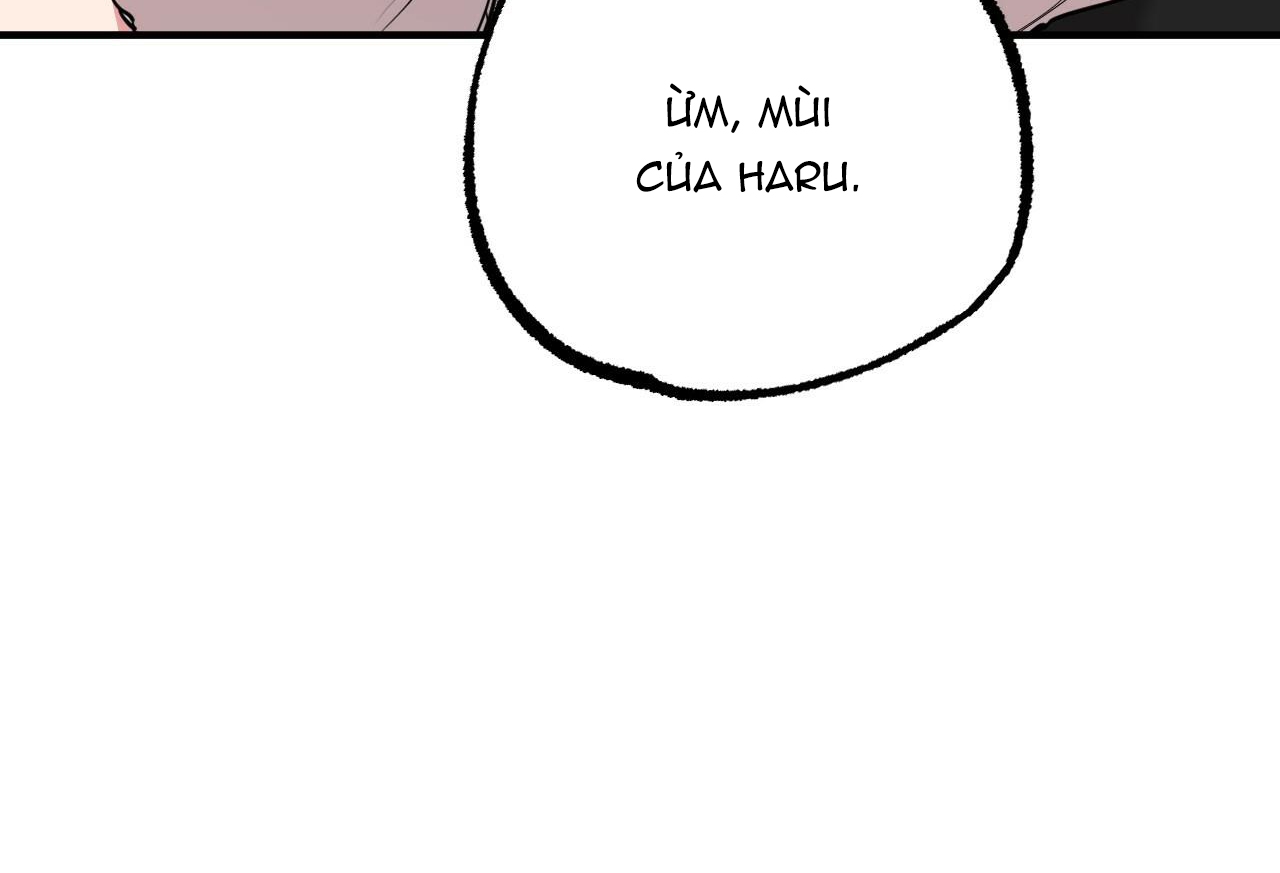 đàn thỏ của habibi chapter 35 234