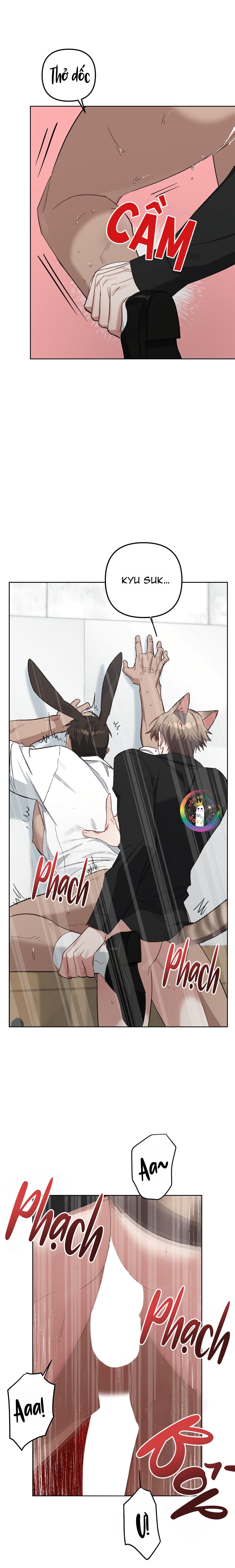 thỏ xuất tinh trong vòng 3 giây chapter 8 19