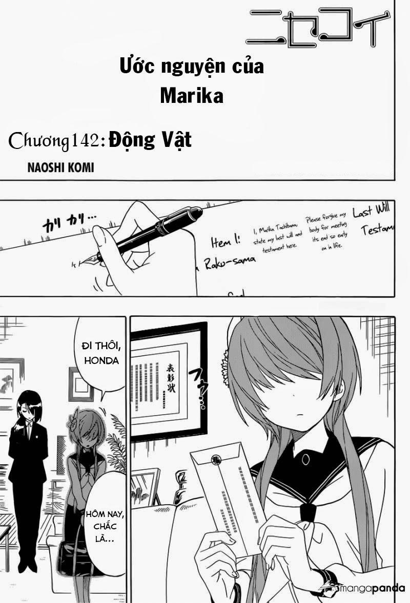 nisekoi - tình yêu giả tạo chapter 142 1