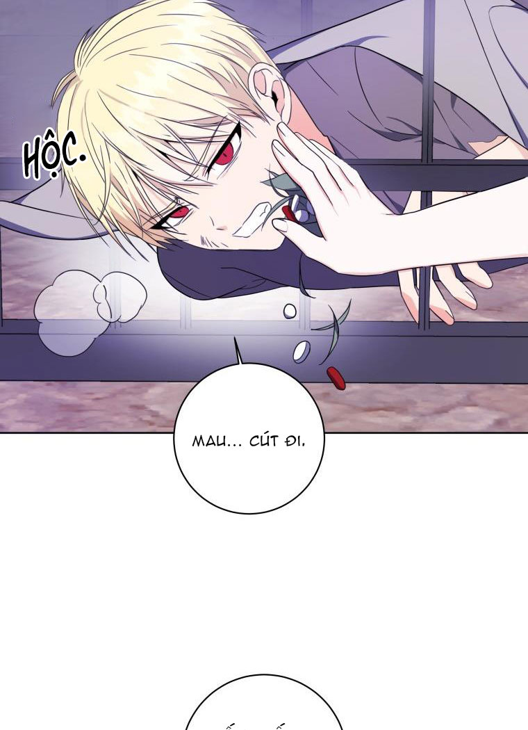 trở thành vợ của nam chính phế vật chapter 31 41