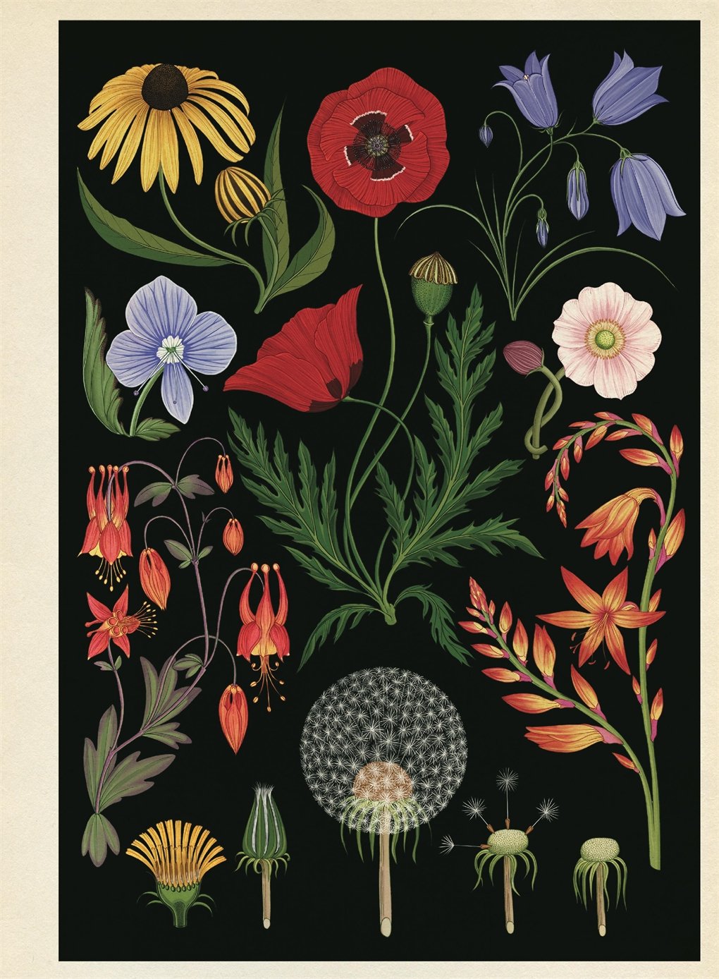 Sách Botanicum Poster Book