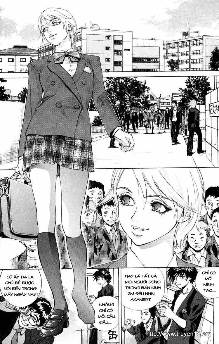 b-reaction chapter 8 2