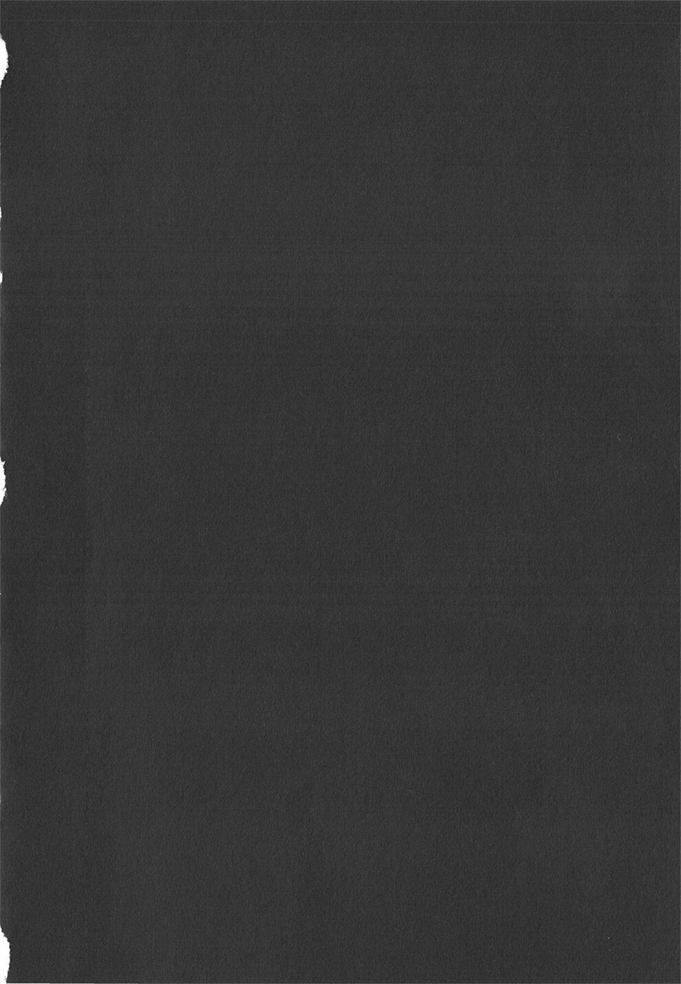 fate/strange fake chapter 3.2 9