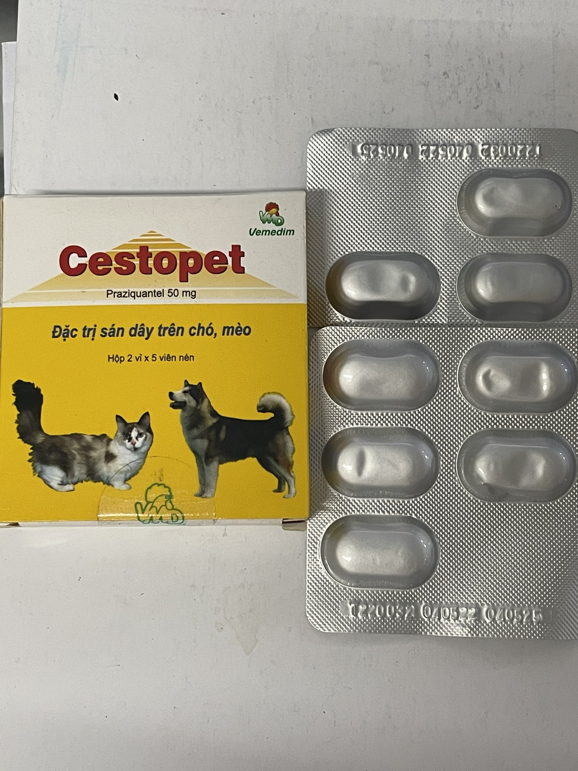CESTOPET - ĐẶC T.R.Ị SÁN DÂY TRÊN CHÓ, MÈO