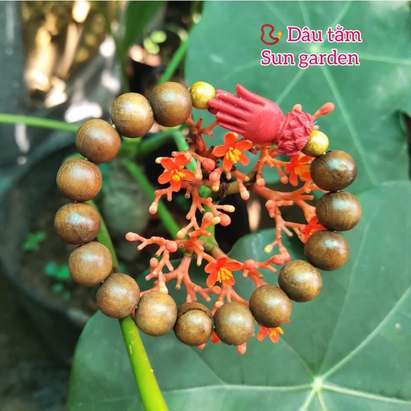 Vòng tay gỗ dâu tằm cho người lớn hạt 10mm Unisex