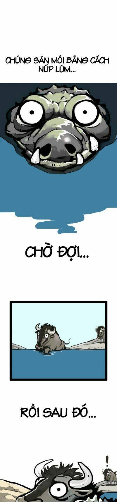 earth, human, and animal chapter 6 10